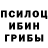 Псилоцибиновые грибы Cubensis wdafesgdf