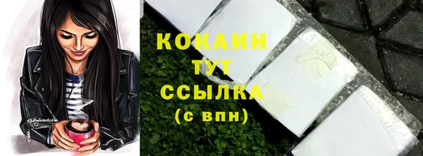 сатива Карпинск