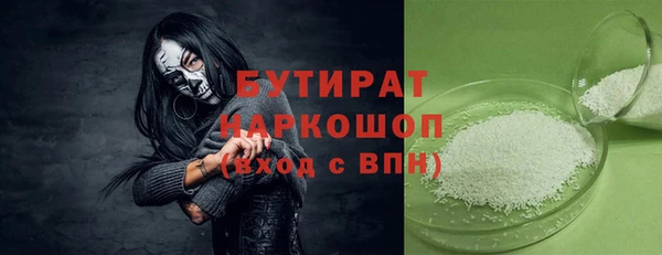 сатива Карпинск