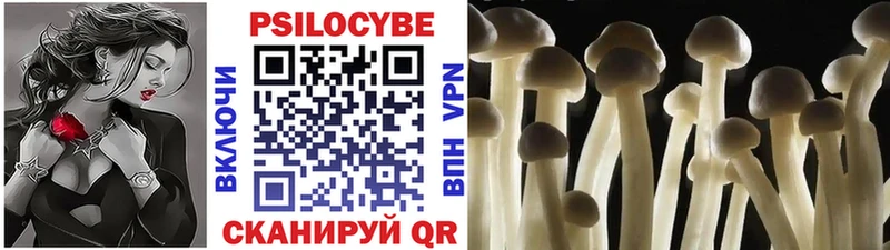 Купить где  Малоярославец  Галлюциногенные грибы мухоморы 